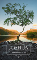 Joshua - Personal Study Guide: The Faithfulness of God