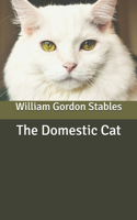 The Domestic Cat