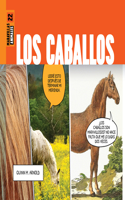 Caballos