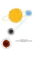 Erstwhile Orbits and Newformed Spheres