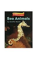 Houghton Mifflin Vocabulary Readers: Theme 3.3 Level 1 Sea Animals