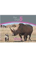 Rhino
