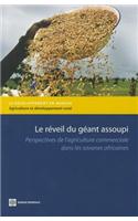 Le reveil du geant assoupi