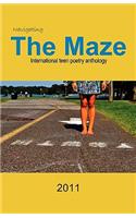 Navigating the Maze