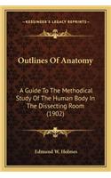 Outlines Of Anatomy
