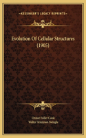 Evolution Of Cellular Structures (1905)