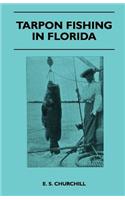 Tarpon Fishing In Florida