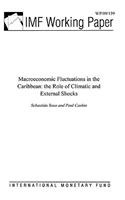 Macroeconomic Fluctuations in the Caribbean