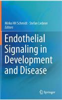 Endothelial Signaling in Development and Disease