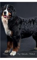 Bernese Mountain Dog September Notebook Bernese Mountain Dog Record, Log, Diary, Special Memories, To Do List, Academic Notepad, Scrapbook & More