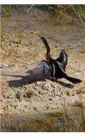 Anhinga Bird Journal (Snakebird)