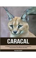 Caracal