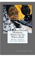 Meniscus