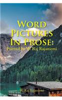 Word Pictures in Prose