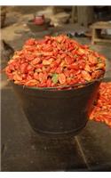 Red Chile Peppers in a Bucket Harvest Journal: 150 Page Lined Notebook/Diary