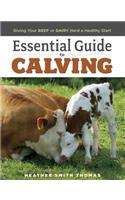 Essential Guide to Calving