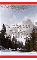 Wonder, the Joy, the Promise Stories for Christmas
