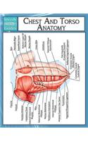 Chest And Torso Anatomy (Speedy Study Guide)