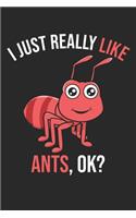 I Just Really Like Ants, OK?: DIN A5 Ameise Notizheft kariert - 120 Seiten kariertes Ameise Notizbuch für Notizen in Schule, Universität, Arbeit oder zuhause. - Eine tolles Gesch