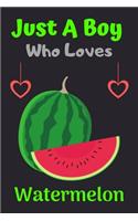 Just A Boy Who Loves Watermelon: A Super Cute Watermelon notebook journal or dairy - Watermelon lovers gift for boys - Watermelon lovers Lined Notebook Journal (6"x 9")