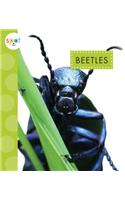 Beetles