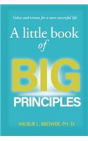 Little Book of Big Principles