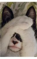 Sweet Napping Kitten Journal