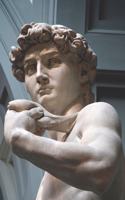 David by Michelangelo Journal: 150 Page Lined Notebook/Diary