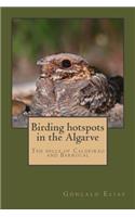 Birding Hotspots in the Algarve