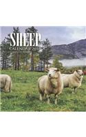 Sheep Calendar 2019: 16 Month Calendar