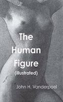 The Human Figure