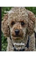 Poodle - Live Love Dogs!