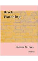 Brick Watching