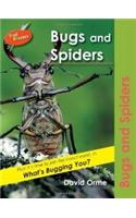 Bugs and Spiders