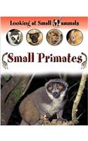 LOOKING AT SMALL MAMMALS PRIMATES