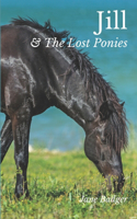 Jill and the Lost Ponies