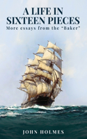 life in Sixteen Pieces (More essays from the 