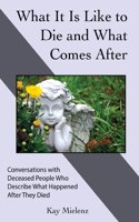 What It Is Like to Die and What Comes After