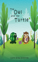 Owl and the Turtle