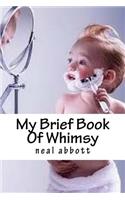 My Brief Book Of Whimsy