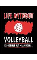 Life Without Volleyball Is Possible But Meaningless.: Lined Journal Notebook To Write Notes In