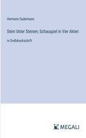 Stein Unter Steinen; Schauspiel in Vier Akten: in Großdruckschrift