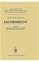 Sachenrecht: Ein Handbuch - Band 1: Sachen, Besitz Und Rechte an Beweglichen Sachen