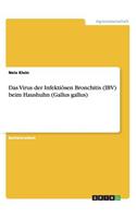 Das Virus der Infektiösen Bronchitis (IBV) beim Haushuhn (Gallus gallus)