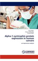 Alpha-1-syntrophin protein expression in human cancers
