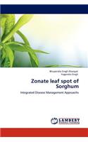 Zonate leaf spot of Sorghum