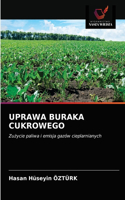 Uprawa Buraka Cukrowego