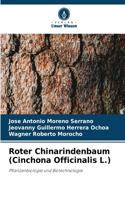 Roter Chinarindenbaum (Cinchona Officinalis L.)