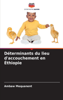 Déterminants du lieu d'accouchement en Éthiopie