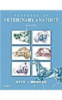 Textbook Of Veterinary Anatomy